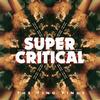 The Ting Tings - Super Critical -  Vinyl Record