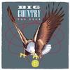 Big Country - Seer -  180 Gram Vinyl Record