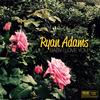Ryan Adams - Baby I Love You -  7 inch Vinyl