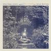 Josh Ritter - Spectral Lines -  Vinyl Record