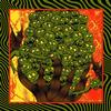 King Gizzard & The Lizard Wizard - Live In Houston '24 -  Vinyl Record