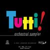 Various Artists - Tutti! Orchestral Sampler -  180 Gram Vinyl Record