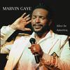 Marvin Gaye - Alive In America -  Vinyl Record