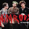 Green Day - Nimrods Original Soundtrack -  Vinyl Record