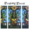 Rusted Root - When I Woke -  Vinyl Record