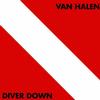Van Halen - Diver Down -  180 Gram Vinyl Record