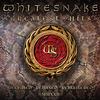 Whitesnake - Greatest Hits- Revisited Remixed Remastered -  Vinyl Records