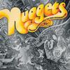 Various Artists - Nuggets: Original Artyfacts From the First Psychedelic Era (1964-1968) -  Vinyl Box Sets