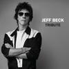 Jeff Beck - Tribute -  Vinyl Record