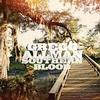 Gregg Allman - Southern Blood -  Vinyl Record