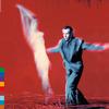 Peter Gabriel - Us -  180 Gram Vinyl Record