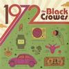 The Black Crowes - 1972 -  Vinyl Record
