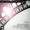 The Sebastian Sternal Trio - Paris -  180 Gram Vinyl Record