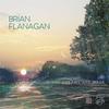 Brian Flanagan - Where Dreams Are Made -  180 Gram Vinyl Record