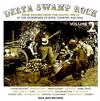 Various Artists - Delta Swamp Rock Volume 2 -  180 Gram Vinyl Record