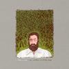 Iron and Wine - Our Endless Numbered Days -  Vinyl Record
