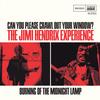 Jimi Hendrix - Can You Please Crawl Out Your Window? -  7 inch Vinyl