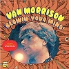 Van Morrison - Blowin' Your Mind -  Vinyl Record