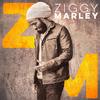 Ziggy Marley - Ziggy Marley -  Vinyl Record & CD