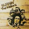 Bob Marley and The Wailers - Burnin' -  Vinyl Record