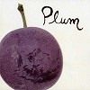Various Artists - Plum -  7 inch Vinyl