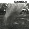 Taylor Hollingsworth - Life With a Slow Ear -  Vinyl Record