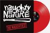 Naughty By Nature - The Naughtiest