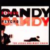 The Jesus and Mary Chain - Psychocandy -  Vinyl Record