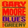 Gary Moore - Blues For Greeny -  Vinyl Record