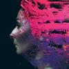Steven Wilson - Hand.Cannot.Erase -  Vinyl Record