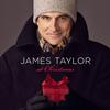 James Taylor - James Taylor At Christmas -  140 / 150 Gram Vinyl Record