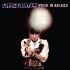 Little Steven - Voice Of America -  Vinyl Record