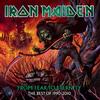Iron Maiden - From Fear To Eternity 1990-2010 -  Vinyl Record