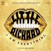 Little Richard/Various Artists - I Am Everything -  Vinyl Record