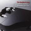 John Di Martino's Romantic Jazz Trio - The Beatles In Jazz -  180 Gram Vinyl Record
