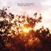 Kurt Vile and Luke Roberts - Classic Love -  Vinyl Record