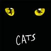 Andrew Lloyd Webber - Cats -  Vinyl Records