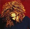 Janet Jackson - The Velvet Rope -  Vinyl Record