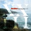 Incubus - Morning View XXIII -  180 Gram Vinyl Record