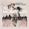 Van Morrison - What's It Gonna Take? -  Vinyl Record
