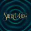 Sheryl Crow - Evolution -  Vinyl Record