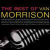 Van Morrison - The Best Of Van Morrison -  Vinyl Record