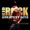Kid Rock - Greatest Hits: You Never Saw Coming -  Vinyl Record