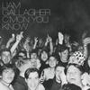 Liam Gallagher - C'mon You Know -  Vinyl Record