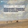 Tasmin Little - Vaughan Williams: Lark Ascending, Sym 6, Fantasia on a Theme by Tallis/ Davis -  Vinyl Record