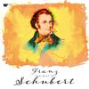 Franz Schubert - The Best Of Franz Schubert -  Vinyl Record