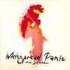 Widespread Panic - Free Somehow -  Vinyl Record
