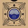 Steve Earle and Robert Johnson - Terraplane Blues -  10 inch Vinyl Record