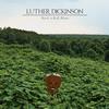Luther Dickinson - Rock 'n Roll Blues -  180 Gram Vinyl Record