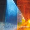Randall Bramblett - The Meantime -  Vinyl Record